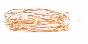 Tiny Lites Copper Wire Indoor/Outdoor LED Light String, Warm White, 9.8-Feet - Picture 1 of 4