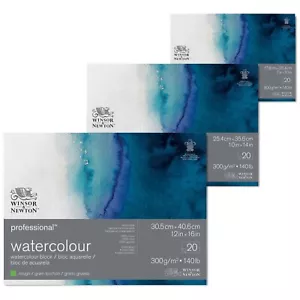 Winsor&Newton Carta Professional Grana Torchon per Acquerello Inchiostro Matite - Foto 1 di 7