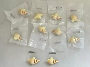 10 x Cupboard Drawer Knobs Handles Snail Shell Fossil conchologist - Picture 1 of 14