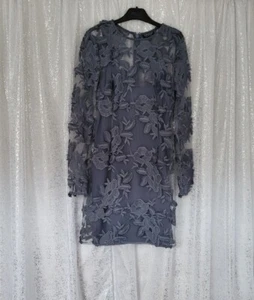 Topshop Ladies Grey Sheer Mesh Embroidered Party Dress Size 8 - Picture 1 of 8
