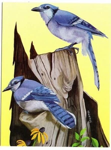 Birds Lovers Greeting Card Blue-White Pair Birds Blank Cards Collection Vintage - Picture 1 of 3