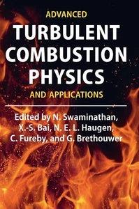 Advanced Turbulent Combustion Physics and Applications 1st Edition - Picture 1 of 1