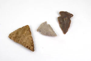 Lot Of 3 Arrowheads, Artifacts) found In East+ Central Nc - Picture 1 of 9