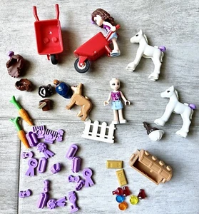 Lego Friends Mini Figures Horses Dog Accessories Treasure Chest Box Jewels Misc - Picture 1 of 13