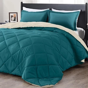 Queen Comforter Set - Teal Blue and White Queen Comforter, Soft Bedding Sets for - Picture 1 of 6