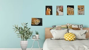 Cat Paintings - Ginger Love 5 pcs (Set) - Picture 1 of 11