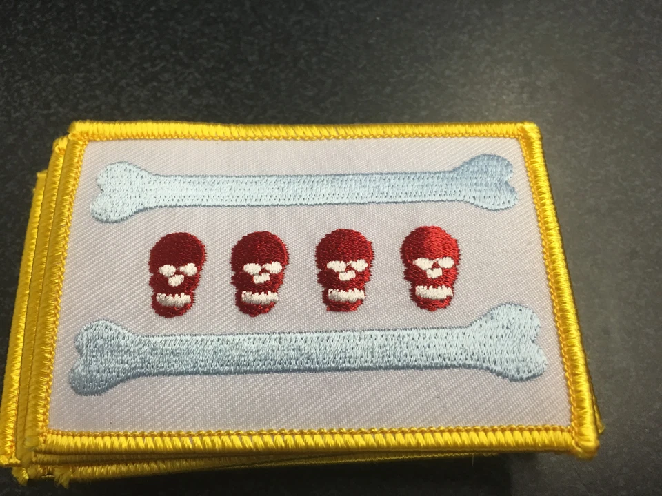 PARCHE BANDERA CALAVERA Y HUESOS CIUDAD DE CHICAGO Foto 1 de 1