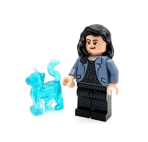 LEGO® HARRY POTTER FIGUR - MARY CATTERMOLE + KATZE - hp344 - aus SET 76403 - Bild 1 von 4
