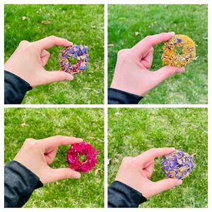 Donut de 2"" con pétalos de flores golosinas para conejo, hámster, conejil, chinchilla - Imagen 1 de 6