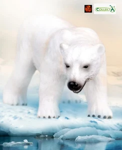 Oso polar ártico vida silvestre animal juguete figura de CollectA 88214 nuevo - Imagen 1 de 4