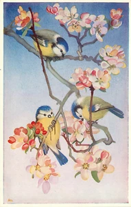 Medici Society Unposted Bluetits Apple Blossoms Heda Armour Unposted - Bild 1 von 2
