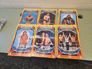 1989  WWF Honeycomb Cereal 11x18 Wrestling Posters, 6 Total - Picture 1 of 7