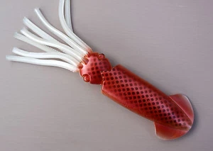 3D SQUIRT SCALED SQUID FISHINIG LURE 7" BROWN TUNA MARLIN MAHI *SPECIAL - Picture 1 of 2