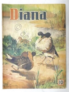 Rivista Caccia - Diana - N. 10 - Maggio 1954 - Foto 1 di 2