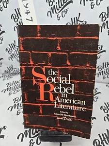 Social Rebel in American Lit Woodward & Clark 1968 Hardcover Odyssey Press - Bild 1 von 13