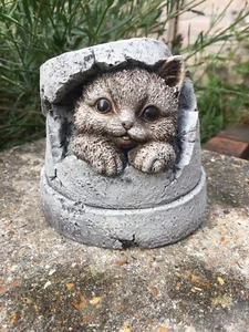 Cute Kitten Hiding in A Pot Statue - Garden Ornament - Hand Cast - Picture 1 of 4