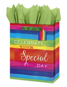 Small Gift Bag - Rainbow - Celebrate Your Special Day - Imagen 1 de 1