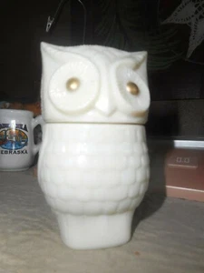 MOONWIND BUSTINA GUFO barattolo decanter vetro latte NON UN BARATTOLO VUOTO BELLO 1972 - Foto 1 di 11