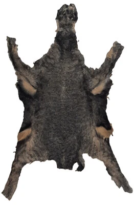 Piel Karakul (Cordero Persa), Negra y Dorada, Muy Única Foto 1 de 4