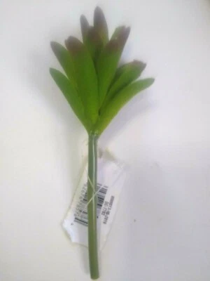 Picos verdes redondeados imitación suculenta selección con puntas artificiales borgoña Foto 1 de 4