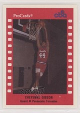 1990-91 ProCards CBA Cheyenne Gibson #34