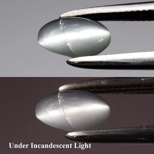 💎 0.44ct Oval Cabochon Natural Green Cat's Eye Alexandrite - Russia Gemstone - Picture 1 of 6