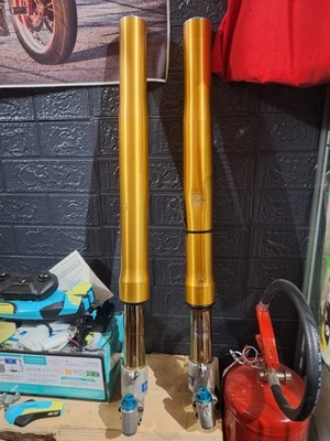 Forcella Aprilia RSV 1000 RSV4 Factory/Tuono V4 Ohlins Anteriore DA REVISIONARE  - Imagen 1 de 4