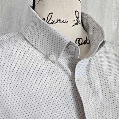 Camisa de Vestir Corpcore Officecore Calce Extra Ajustado Mediana Blanca Lunares Foto 1 de 4