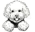 Bichon Frise Decal Sticker Car Truck Window Vinyl (choice of 1any color)