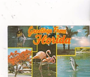 *Florida Postcard-"Greetings/Florida" /*Sunshine*Beauty*Fun*Attractions* {+TW1} - Picture 1 of 2