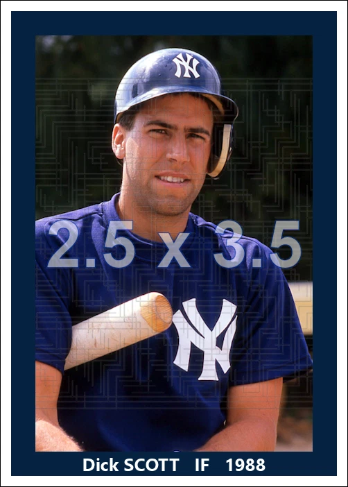 Dick Scott - 1988 New York Yankees ST - 2.5 x 3.5 (16 mil/96lb) - Image 1 of 1