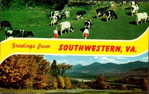 Postcard Greetings From Southwestern VA Cows Mountains P2147 - Picture 1 of 2