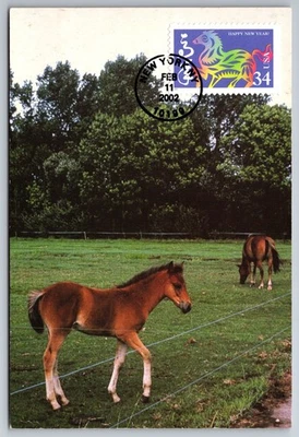 #3559 Chinese Lunar New Year Horse FDC Maxi Card - Image 1 of 2