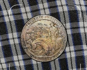 2013 theodore roosevelt Quarter / Copper Error / Dark Beauty / Missing Layer - Picture 1 of 3