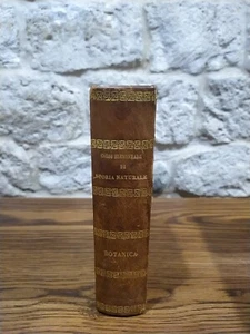 Corso elementare di storia naturale-Botanica -De Jussieu- 1846 - Foto 1 di 21