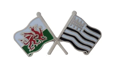 France Brittany Flag & Wales Flag Friendship Courtesy Pin Badge - LAST FEW - Image 1 of 3