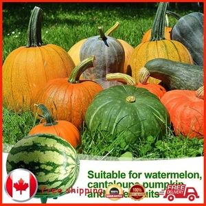 Reusable Watermelon Stand Set for Pumpkins Strawberries & More - Photo 1 sur 18