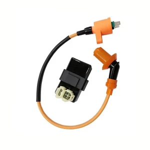 6 Pin DC CDI Box Racing Ignition Coil for GY6 50cc 125cc 150cc Engine MopedXc - Picture 1 of 14