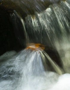 Fine Art Photo Print of Padley Gorge, Peak District by Richard Childs - Picture 1 of 3