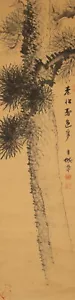 JAPANESE PAINTING HANGING SCROLL FROM JAPAN PINE AGE OLD ART INK f274 - Foto 1 di 7