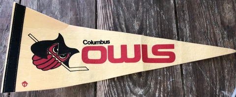 Vintage 1974 Columbus Owls Hockey IHL NHL Felt Pennant 23" Big Logo Ohio Cover