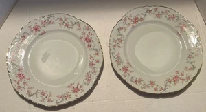 (2) Piatti piatti vintage Hutschenreuther Selb Bavaria 10" RICHELIEU rose rosa - Foto 1 di 6
