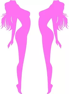 Adult Sexy Girl Hot Woman PinUp Auto Car Bumper Window Vinyl Decal Sticker Truck - Picture 1 of 13
