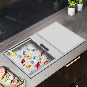 21"x18" Drop in Eistruhe Eiskühler BBQ Insel Eisbehälter Küche Kühler mit Abdeckung - Bild 1 von 16