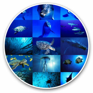 2 x Vinyl Stickers 7.5cm - Marine Life Collage Ocean Dive Diver Cool Gift #8936
