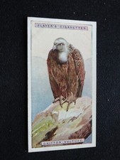 1924 John Player & Sons Natural History Card # 46 Griffon Vulture (VG/EX)