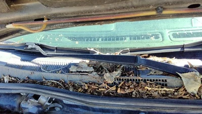 Infiniti G20 2000-2002 pasajero derecho brazo limpiaparabrisas OEM hoja palanca Foto 1 de 2