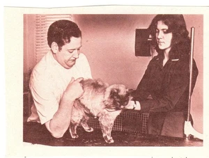 Cat Print--Photo of Veterinarian at Work—Book Cutout, B&W - Picture 1 of 1