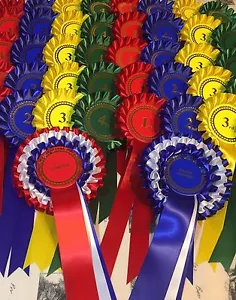 Komplettes Show Set Pack - 10 Sets 1.-4. + Champion/Res Champ Ros PORTOFREI - Bild 1 von 1