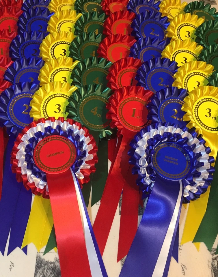 Komplettes Show Set Pack - 10 Sets 1.-4. + Champion/Res Champ Ros PORTOFREI